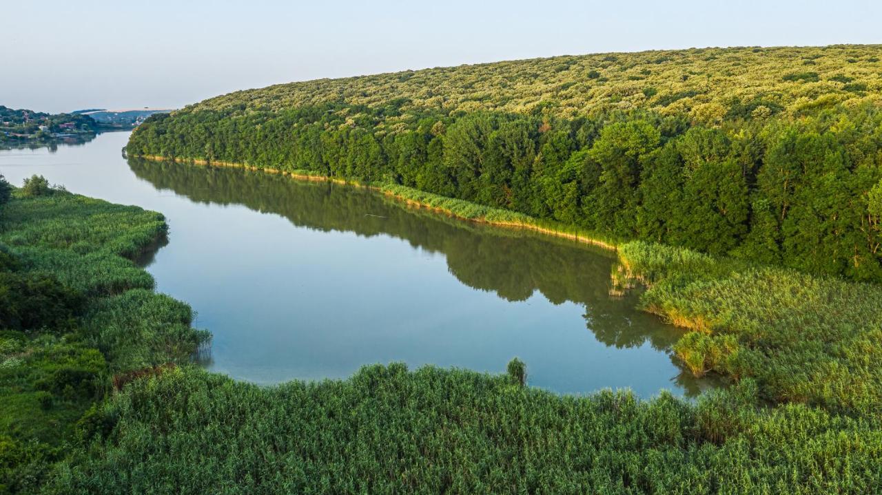 Вила Теkето I Vila Teketo Family Guest House Nikolovo Bagian luar foto
